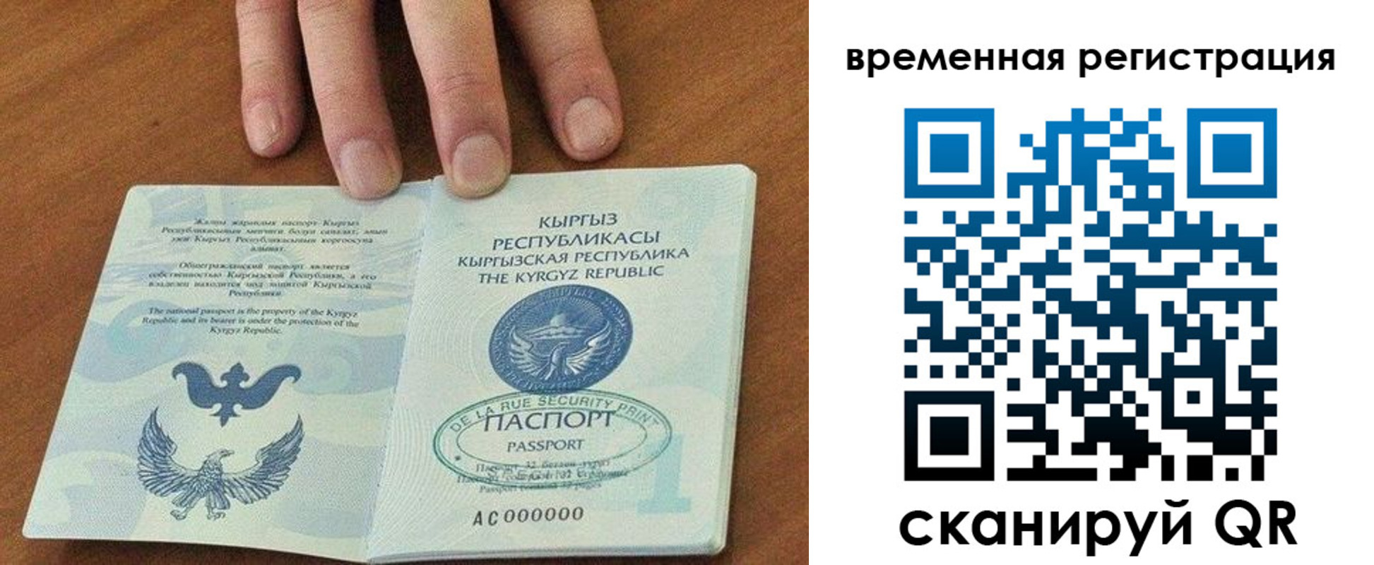 где прописаться в Белёве